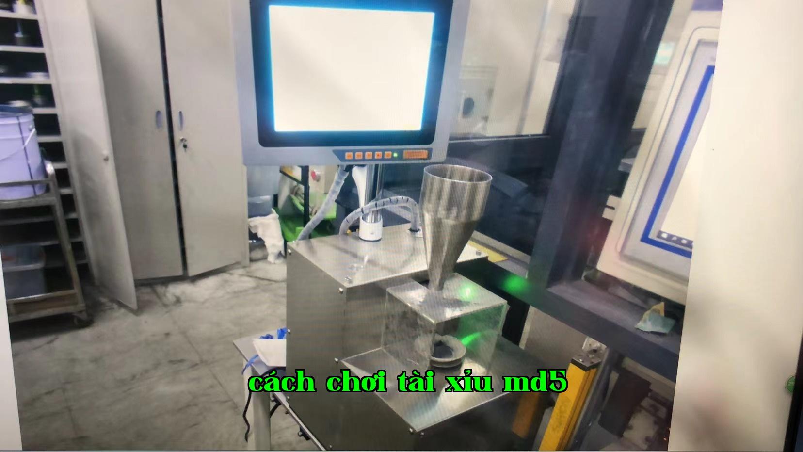 Đoạn cân tự động